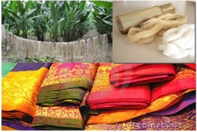 Textile production from Bamboo and Plantain fibre